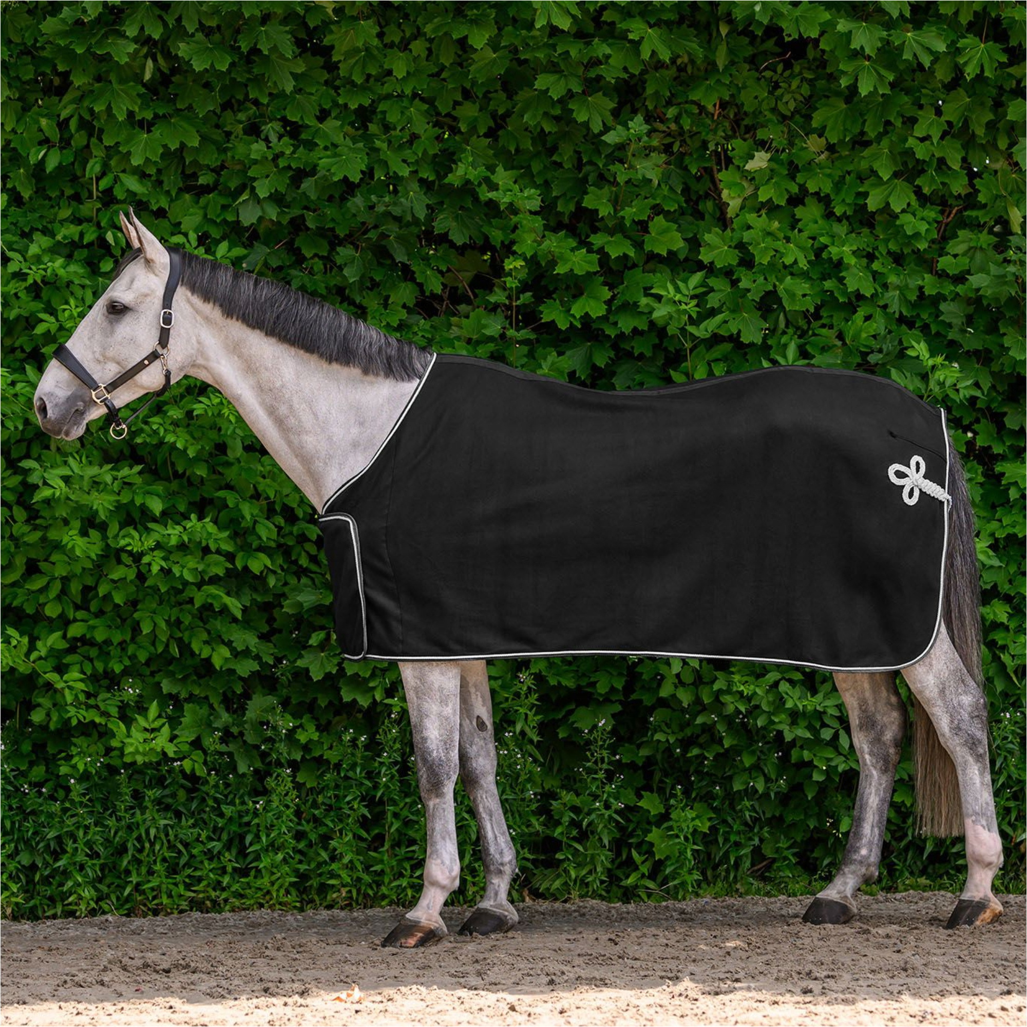 2026 Waldhausen Economische Fleece & Sponsor Mat 6320501 - Black